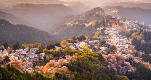 Japan's most famous cherry blossom viewing spot, Mount Yoshino in Nara Prefecture