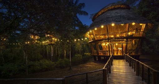 The Treehouse Lodge in Peru is spectacular to see at night.