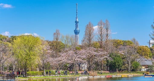 Visit the celebrated Ueno Park in Tokyo
