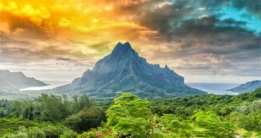 Discover the beauty of Moorea on your ATV adventure