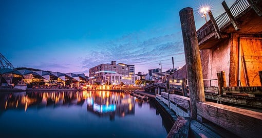 Explore the vibrant arts and entertainment offered in the city of Wellington