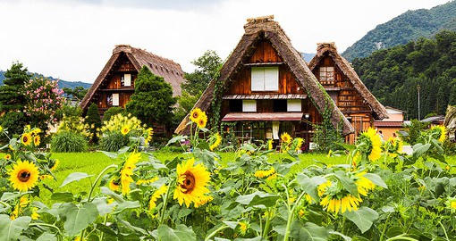 Visit the historic village of Shirakawa, listed as a World Heritage Site