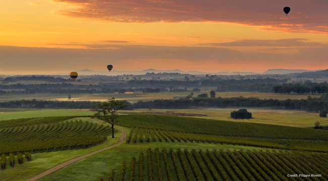 Hunter Valley landscape at sunset with hot air balloons