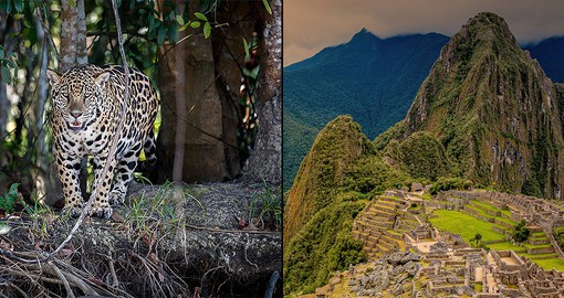 Discover the wildlife of the Amazon and the wonders of the Inca Empire on this unique itinerary