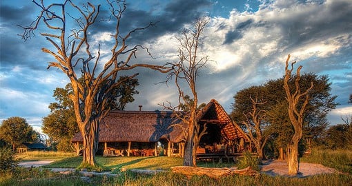 Bomani Tented Lodge is set in a remote and exclusive area