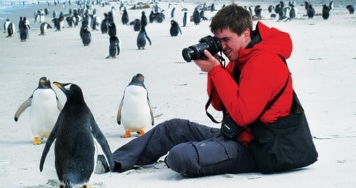 The Falklands Island is ideal for photographers and birders