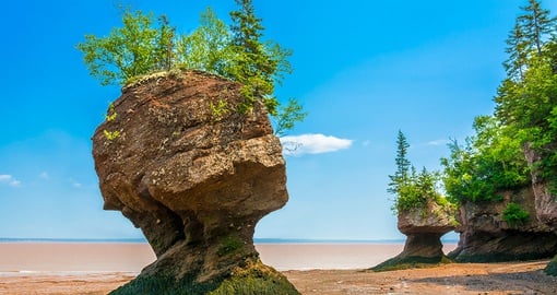Hopewell rocks at the Bay of Fundy