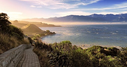 Kaikoura is renown for its abundant wildlife and sperm whale population