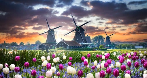 When it comes to beauty, the 19 polder draining windmills of the Kinderdijk win first prize