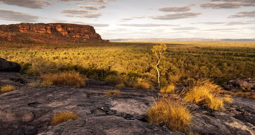 Covering 20,000 square kilometres, Kakadu is one of Australia's largest national parks