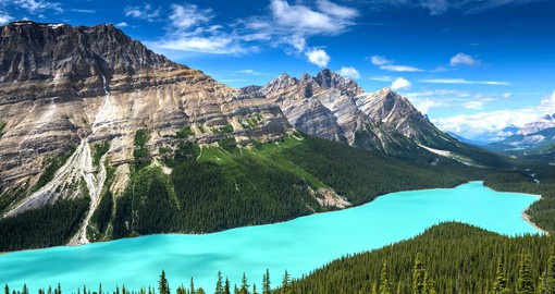 Take a moment to admire the raw beauty of Peyto Lake