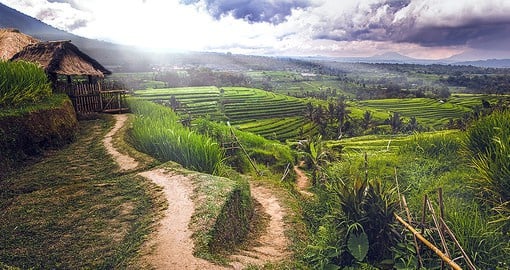 Ubud, surrounded by rainforest and terraced rice fields is a centre for traditional crafts