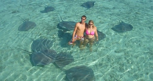 Experience being side by side with rays on your Bora Bora vacations.