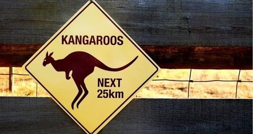 Outback kangaroo sign