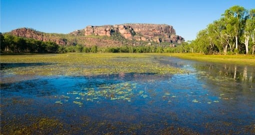 Get to know the Australian outback