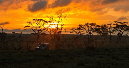 The immense sunrise that creeps over Serengeti National Park during the early morning game drives