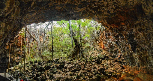 Discover the Undara Lava Tubes on your trip to Australia