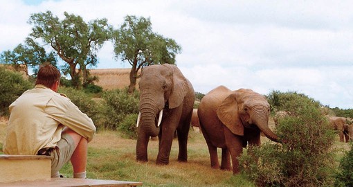 You will be staying at Gorah Elephant Camp during your South Africa vacation.