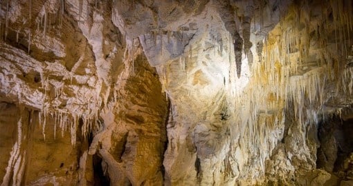 Visit the Waitomo Caves as part of your New Zealand Vacation