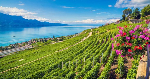 Lausanne is surrounded by vineyard-covered slopes, with Lake Geneva at its feet