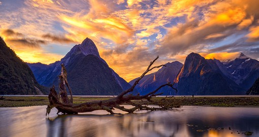Cruise on Milford Sound, New Zealand's most stunning natural attraction