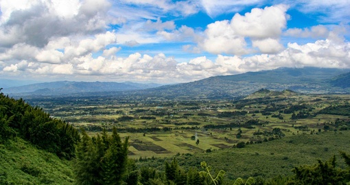 Enjoy the gorgeous landscapes of Parc National des Volcans on your trip to Rwanda