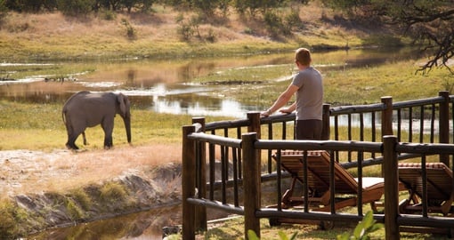 View wildlife from your game lodge on a luxury stay