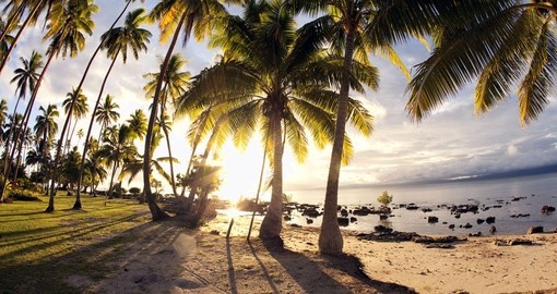 Tropical beach at dawn