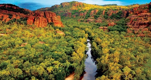 Visit Kakadu National Park and explore its own wildlife during your next Australia vacations.