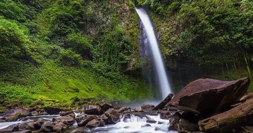 Discover the elegant waterfalls at La Paz Waterfall Garden Nature Park, also the largest animal sanctuary in Costa Rica