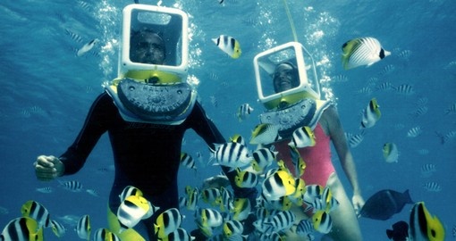 Go on a Aquasafari adventure in Bora Bora's famous lagoon on your next trip to Bora Bora.