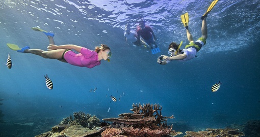 Have fun Exploring the Great Barrier Reef on your Australia Tour