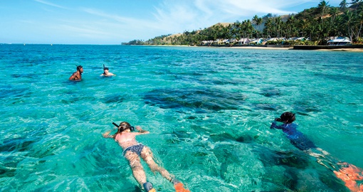 Fiji Snorkeling