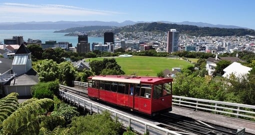 Explore Beautiful Wellington during your next New Zealand tours.