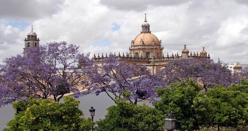 The Cathedral of San Salvador in Jerez