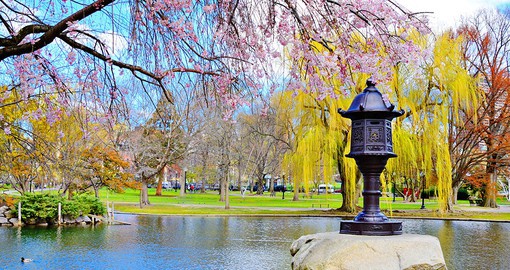 Spend a relaxing day exploring the beauty of the Boston Public Garden