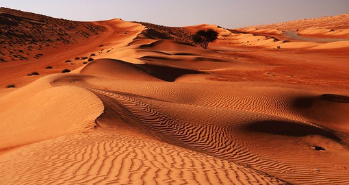 Explore the vast Wahiba Sand Dunes, turning from golden to copper throughout the day