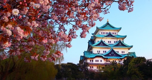 Nagoya Castle during cherry blossom season