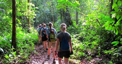 Embark on many excursions like a jungle walk during your Peru vacation.
