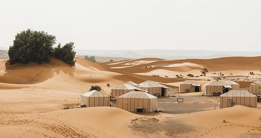 Explore the vast Arabian Desert on an overnight safari