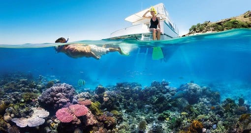 Unique snorkelling experience in the Great Barrier Reef, home to the largest coral system in the world
