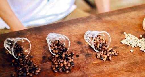 Fresh hand-roasted coffee beans grown in a chemical-free environment from Gong Valley in Ranong