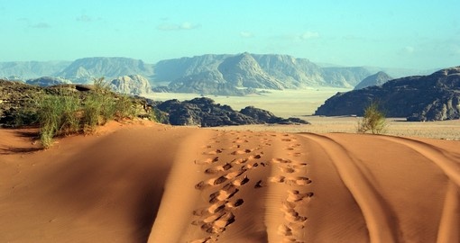 Tracks and footprints in Wadi Rum desert