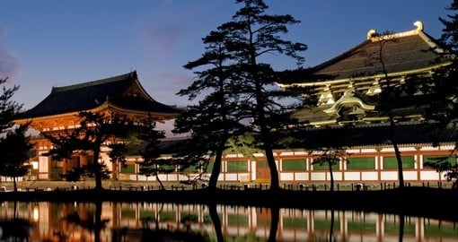 Your Japan tour will take you to visit the Todaiji Temple in Nara