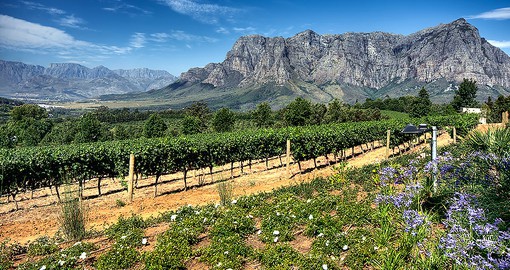 Surrounded by mountains, Stellenbosch is one of the Western Cape's prime wine producing areas.