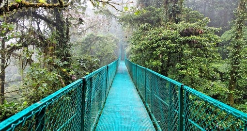 Enjoy your vacations at monteverde
