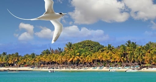 The stunning beaches of Mauritius
