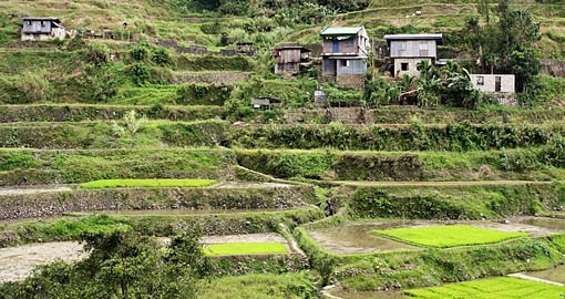 The terraces, dating back 2000-years, are carved into the mountains