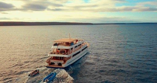 Cruise through calming waters as you explore the beauty of the Galapagos