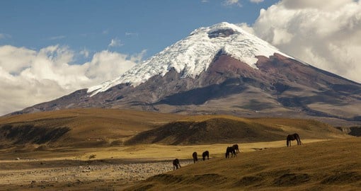 The Incredible Cotopaxi Volcano is the world's highest continuously active volcano
